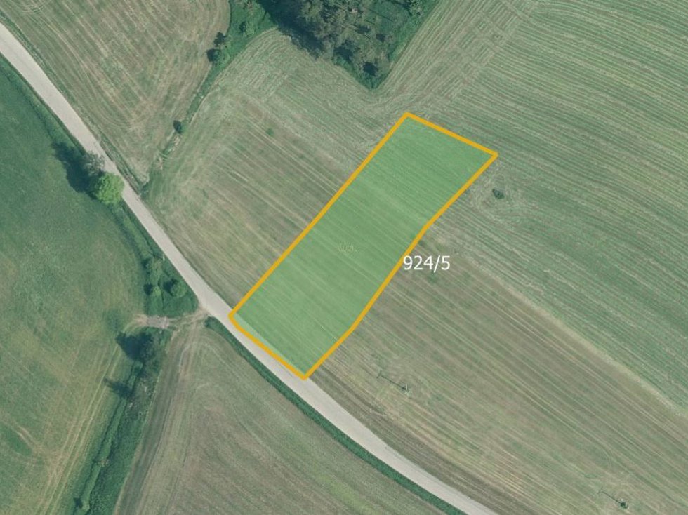 Prodej zemědělské půdy 3083 m², Holubov