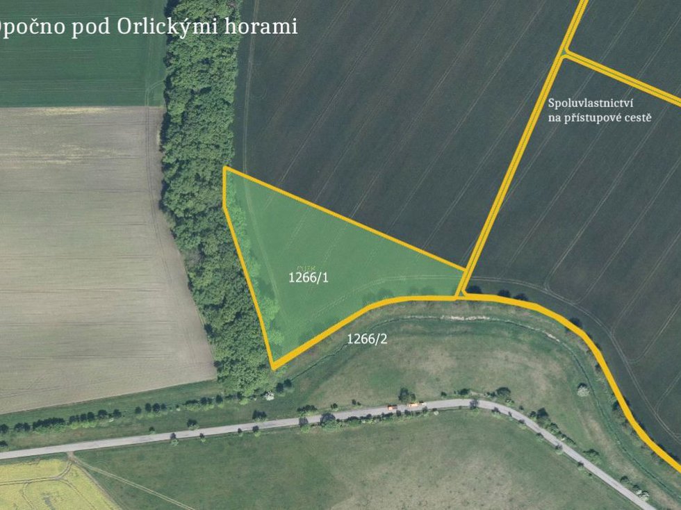 Prodej zemědělské půdy 17605 m², Opočno