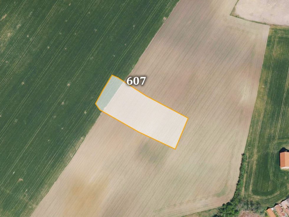 Prodej zemědělské půdy 5215 m², Jíkev