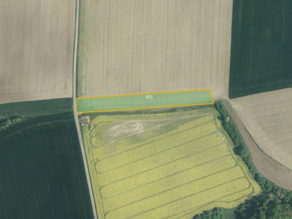 Prodej zemědělské půdy 7608 m², Turovice