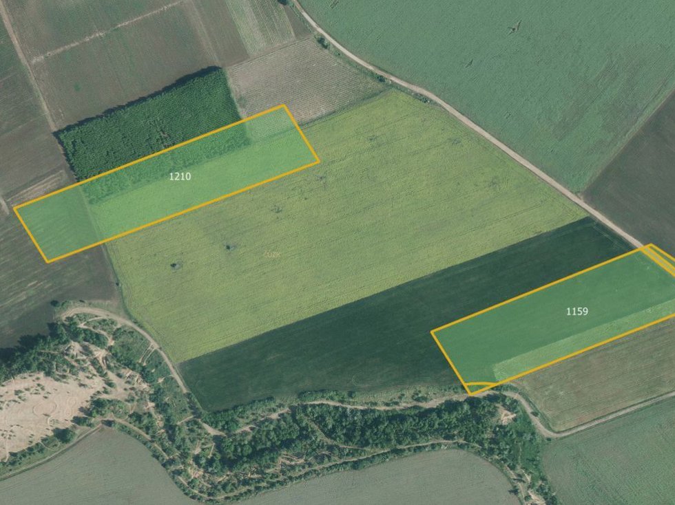 Prodej zemědělské půdy 76488 m², Němčičky
