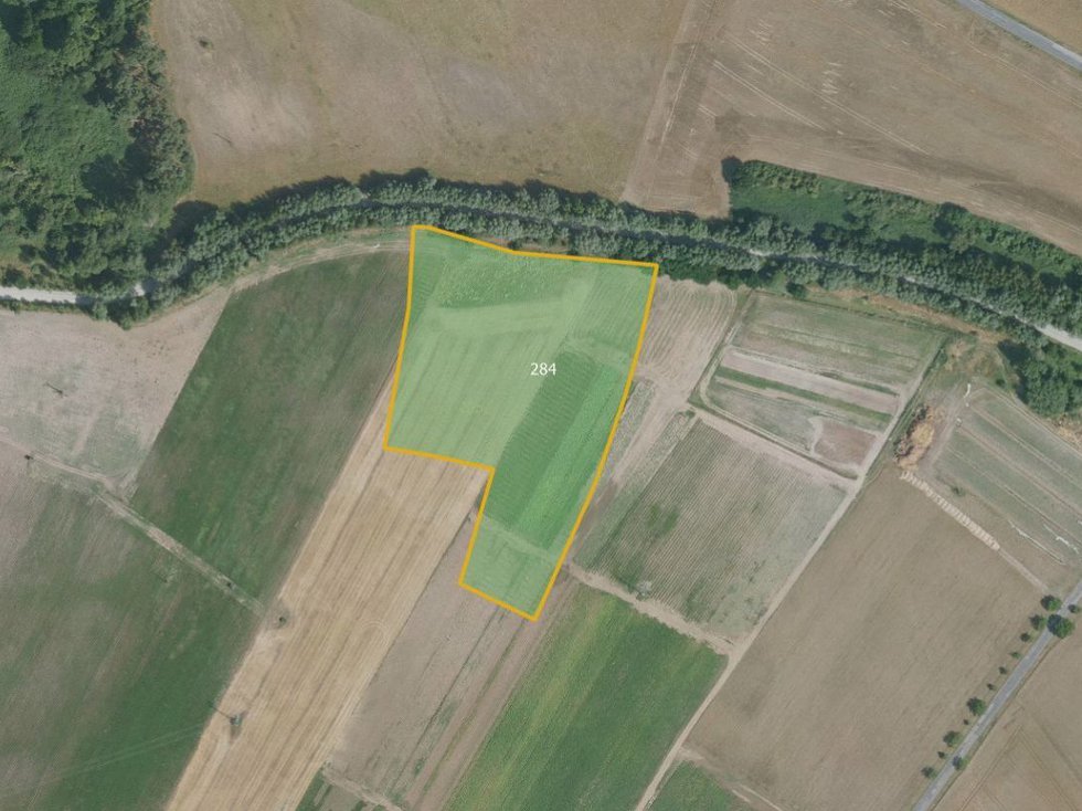 Prodej zemědělské půdy 4479 m², Křenek