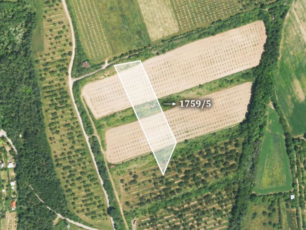 Prodej zemědělské půdy 8983 m², Želešice