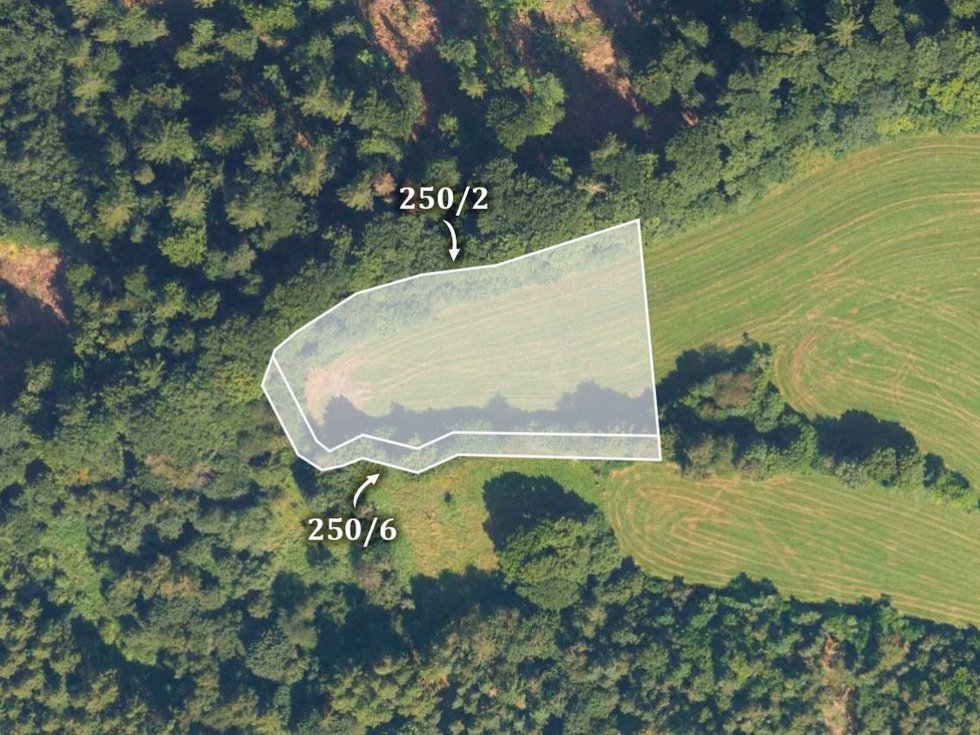 Prodej zemědělské půdy 5999 m², Hoštejn