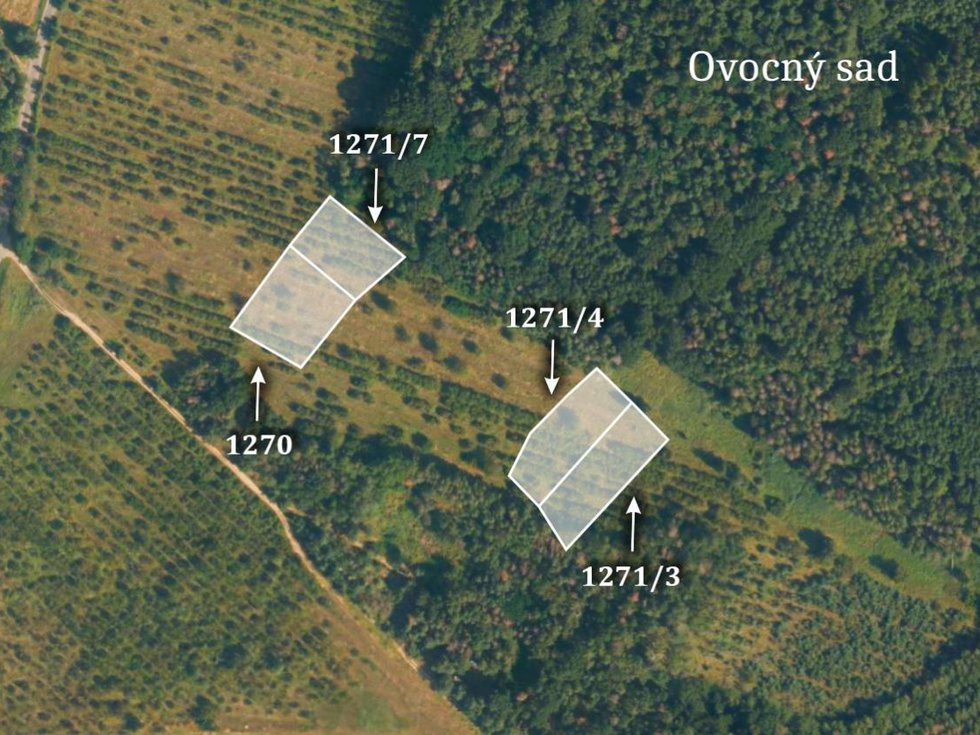 Prodej ostatních pozemků 13936 m², Horušice