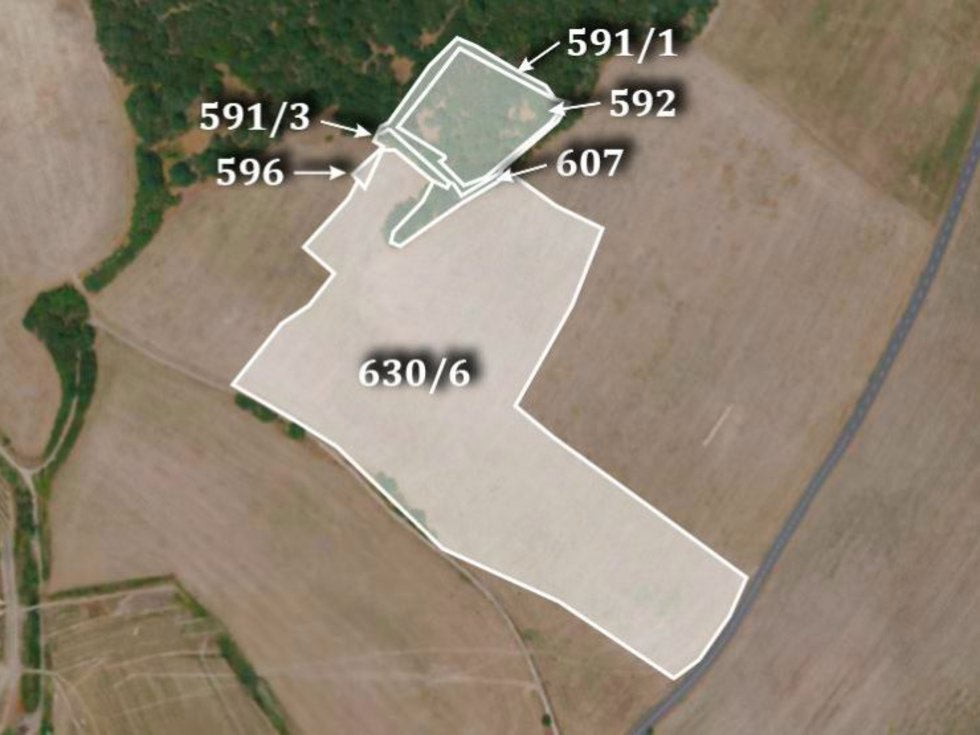 Prodej zemědělské půdy 41967 m², Velké Žernoseky