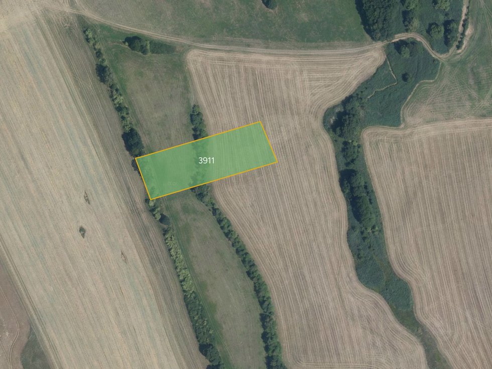 Prodej louky 5653 m², Nový Malín