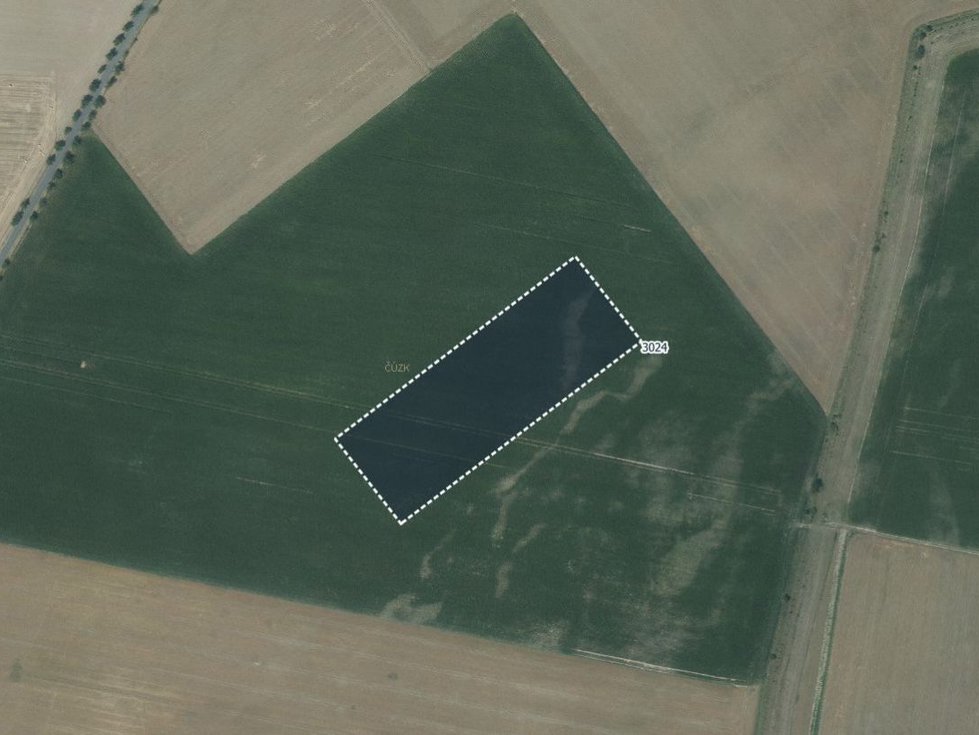 Prodej zemědělské půdy 31221 m², Paseka