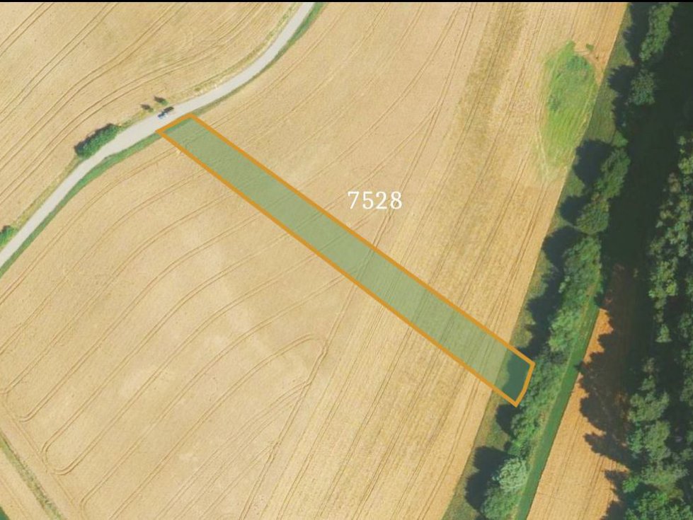 Prodej zemědělské půdy 5984 m², Lovčice