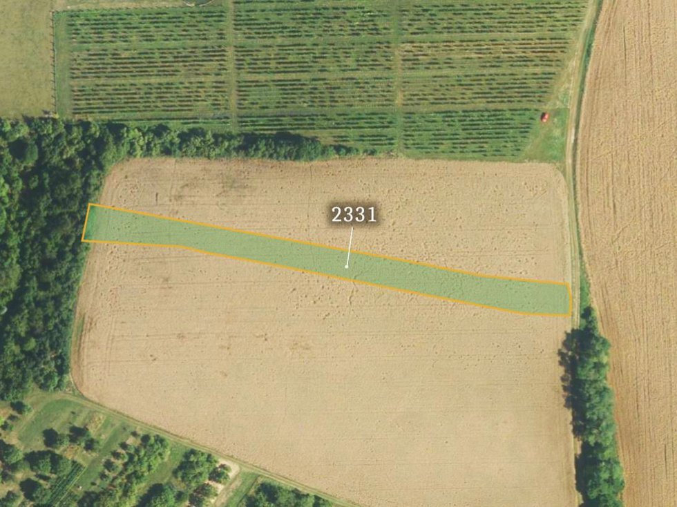 Prodej zemědělské půdy 31742 m², Boleradice