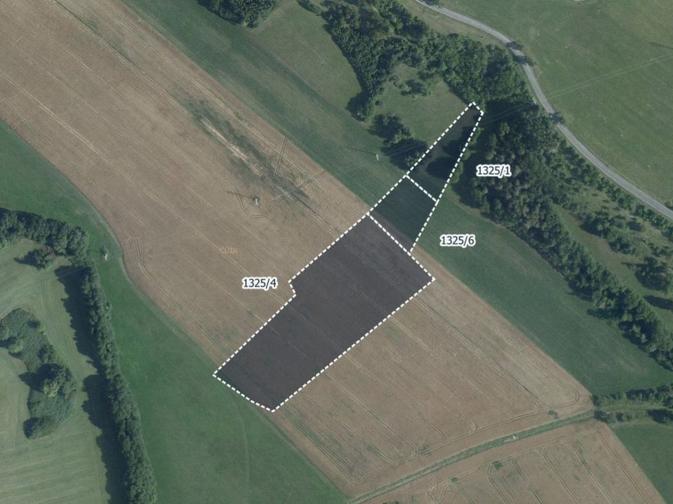 Prodej zemědělské půdy 16498 m², Skuteč