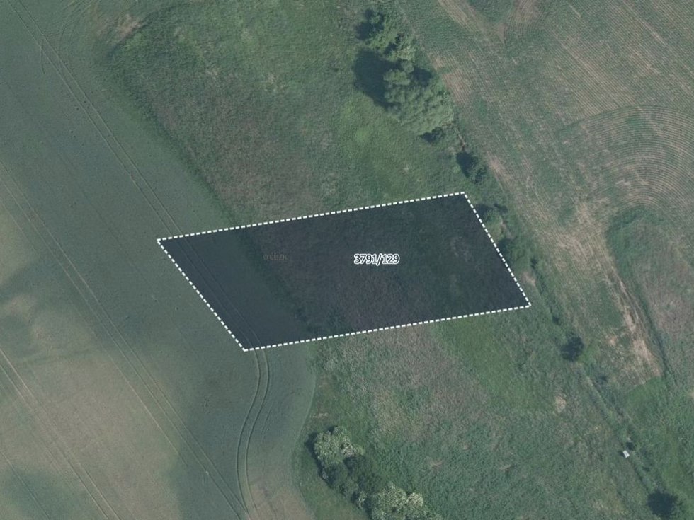 Prodej zemědělské půdy 4160 m², Trstěnice