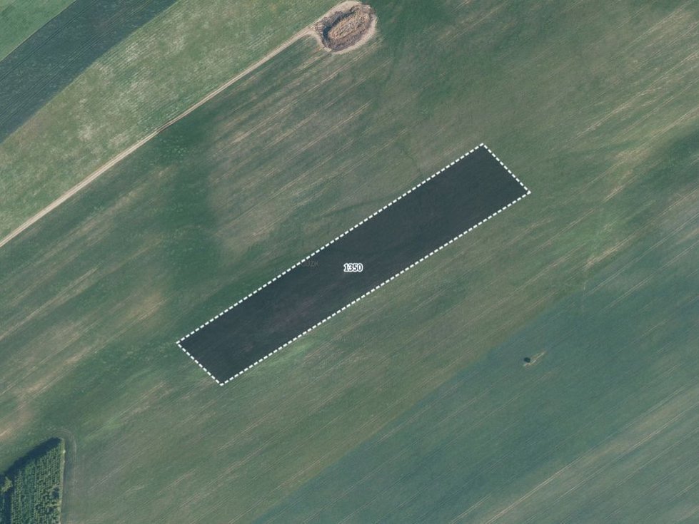 Prodej zemědělské půdy 8885 m², Senetářov