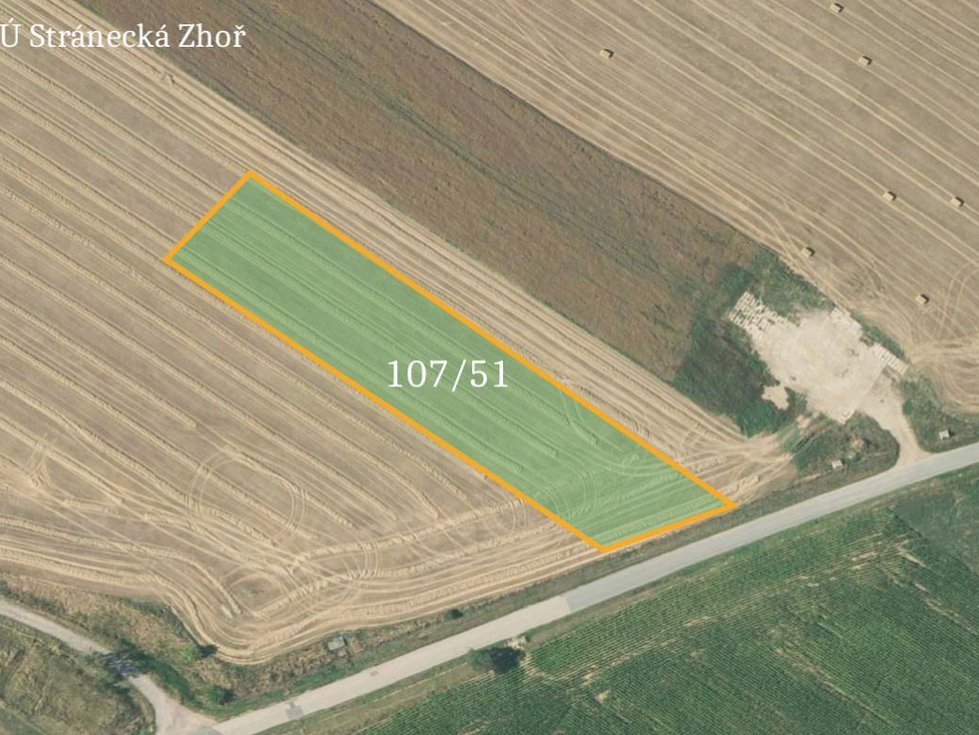 Prodej zemědělské půdy 14138 m², Stránecká Zhoř