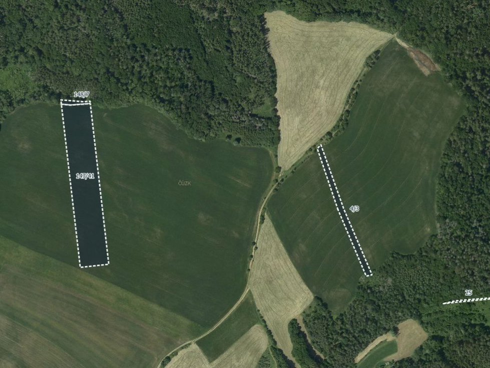 Prodej zemědělské půdy 13502 m², Letovice