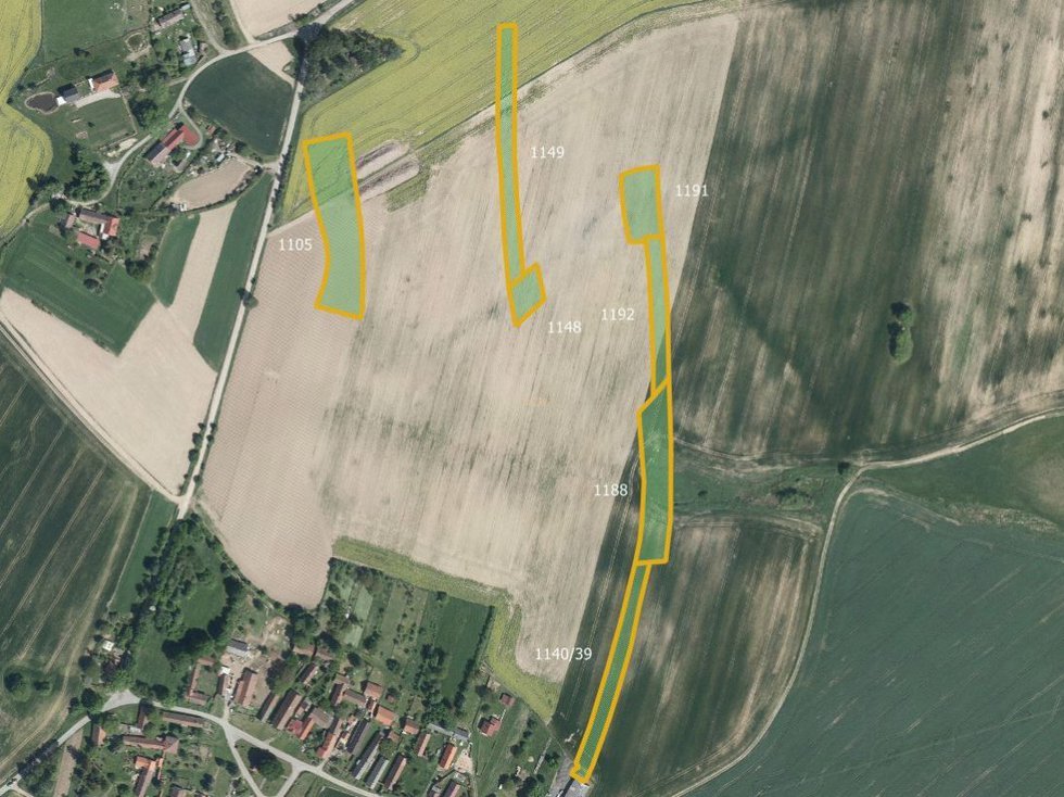 Prodej zemědělské půdy 16003 m², Vyklantice