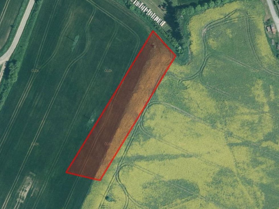 Prodej zemědělské půdy 4916 m², Dražíč
