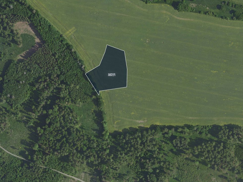Prodej zemědělské půdy 7909 m², Výžerky