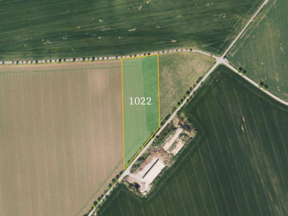 Prodej zemědělské půdy 12255 m², Zeleneč