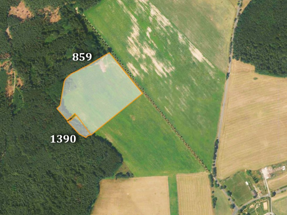Prodej zemědělské půdy 13385 m², Arnoltice