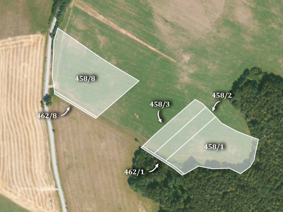 Prodej zemědělské půdy 61043 m², Vlčí