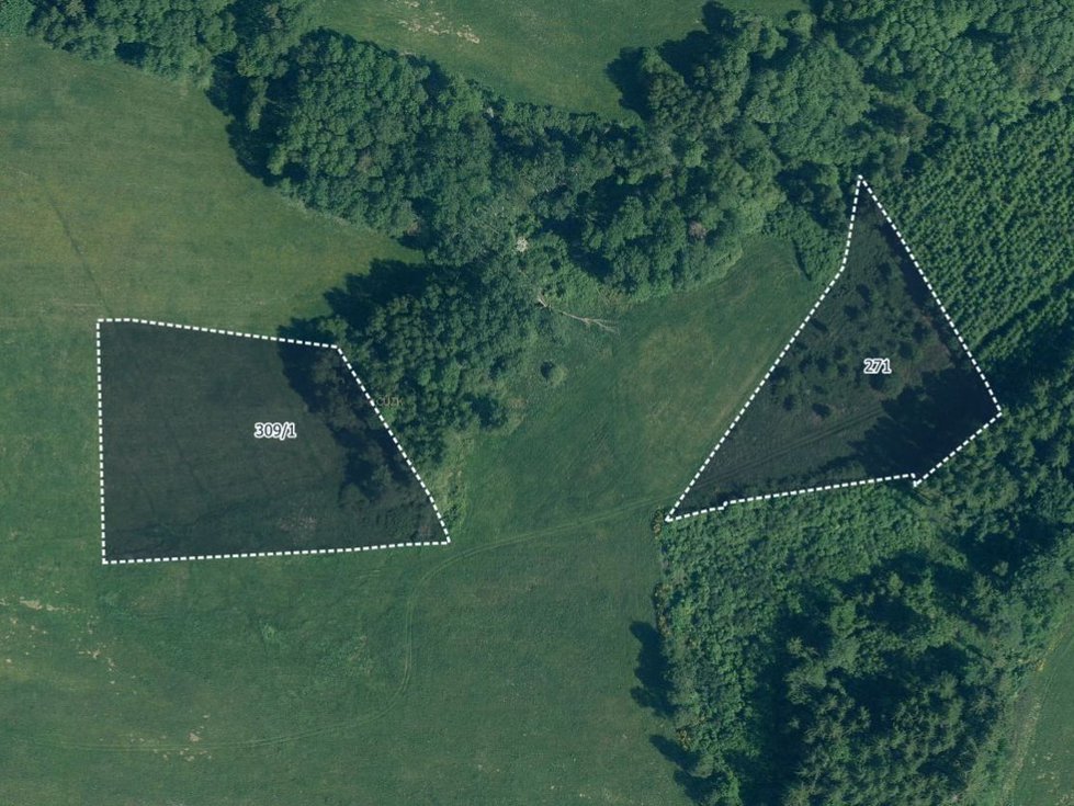 Prodej zemědělské půdy 13624 m², Plánice