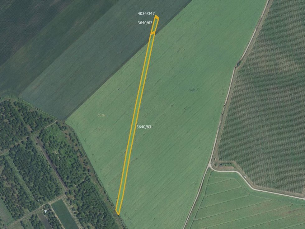 Prodej zemědělské půdy 3169 m², Čejkovice