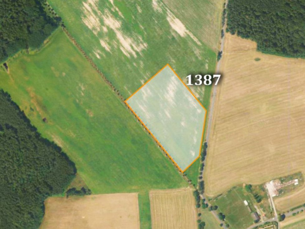 Prodej zemědělské půdy 8056 m², Arnoltice