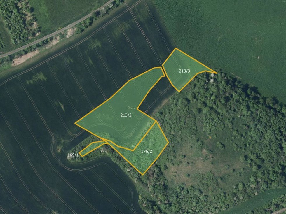 Prodej zemědělské půdy 11429 m², Chotiměř