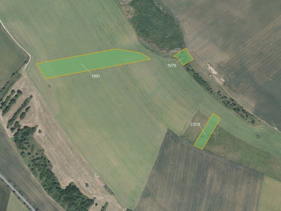Prodej zemědělské půdy 14994 m², Plumlov