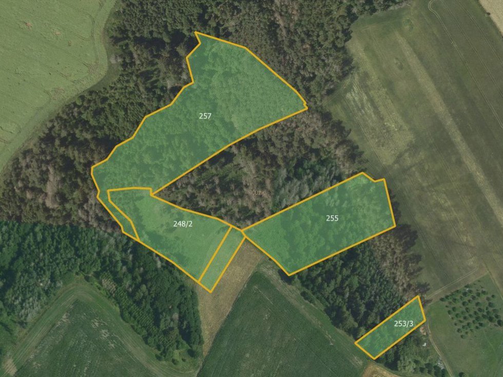 Prodej lesa 14957 m², Letovice