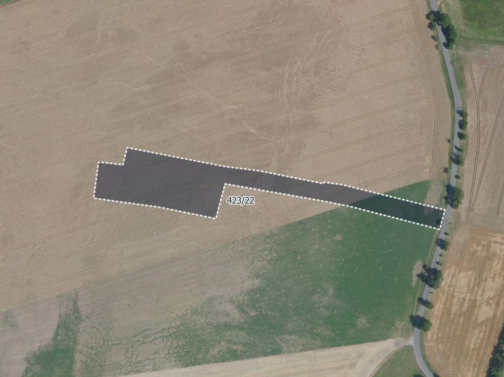 Prodej zemědělské půdy 8690 m², Loučeň