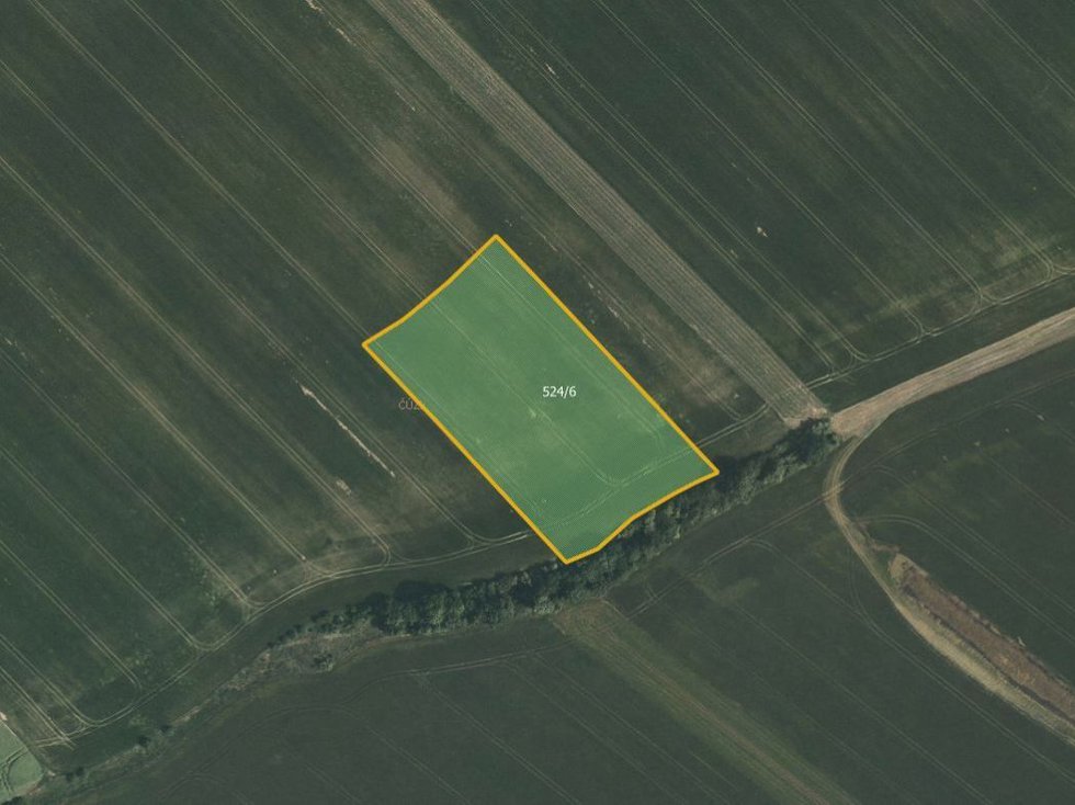 Prodej zemědělské půdy 9909 m², Morašice