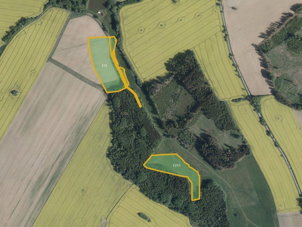 Prodej zemědělské půdy 38336 m², Hořepník