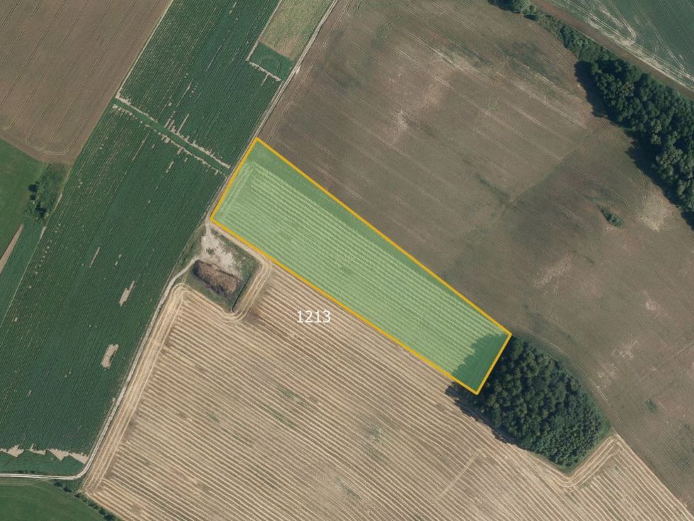 Prodej zemědělské půdy 5407 m², Hradec-Nová Ves