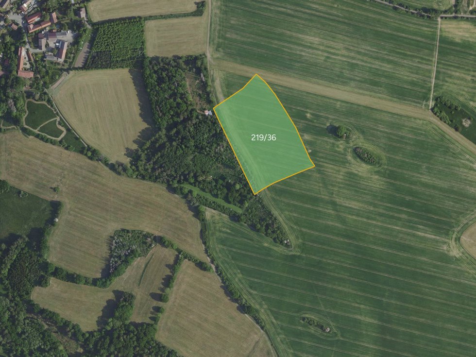Prodej zemědělské půdy 11756 m², Petříkov
