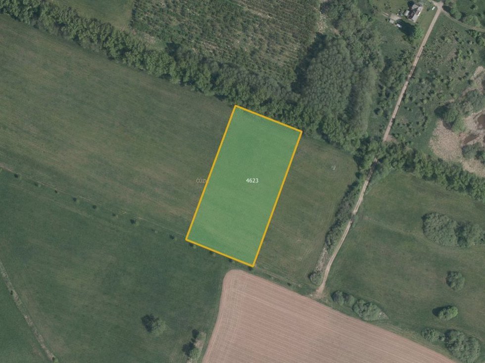 Prodej louky 10323 m², Dvůr Králové nad Labem