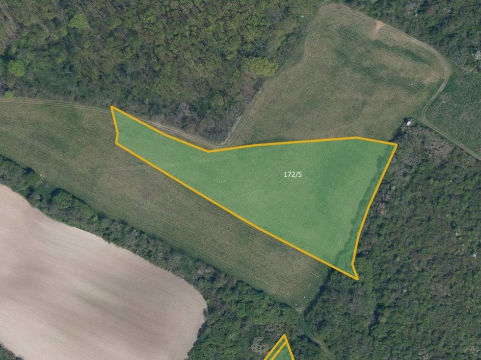 Prodej louky 10041 m², Polepy