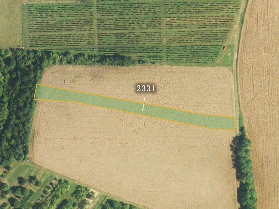 Prodej zemědělské půdy 31742 m², Boleradice