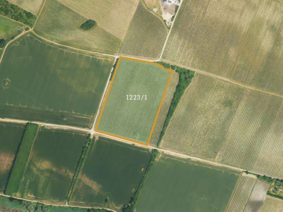 Prodej ostatních pozemků 35932 m², Sedlec