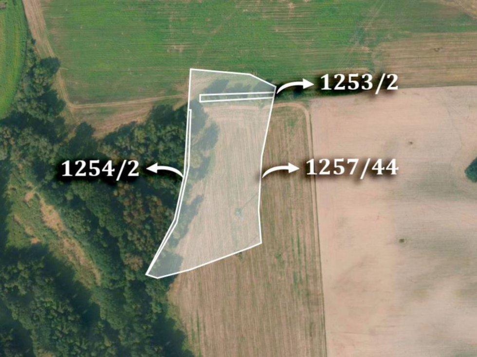Prodej zemědělské půdy 4958 m², Lázně Bohdaneč