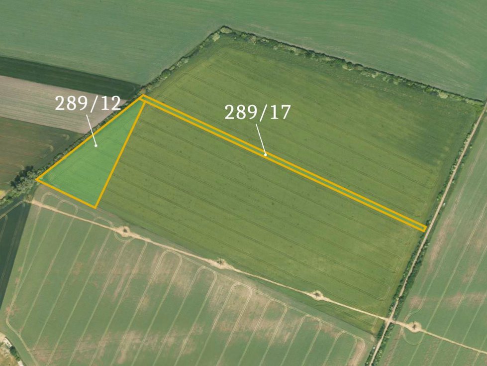 Prodej zemědělské půdy 10037 m², Kostomlaty nad Labem