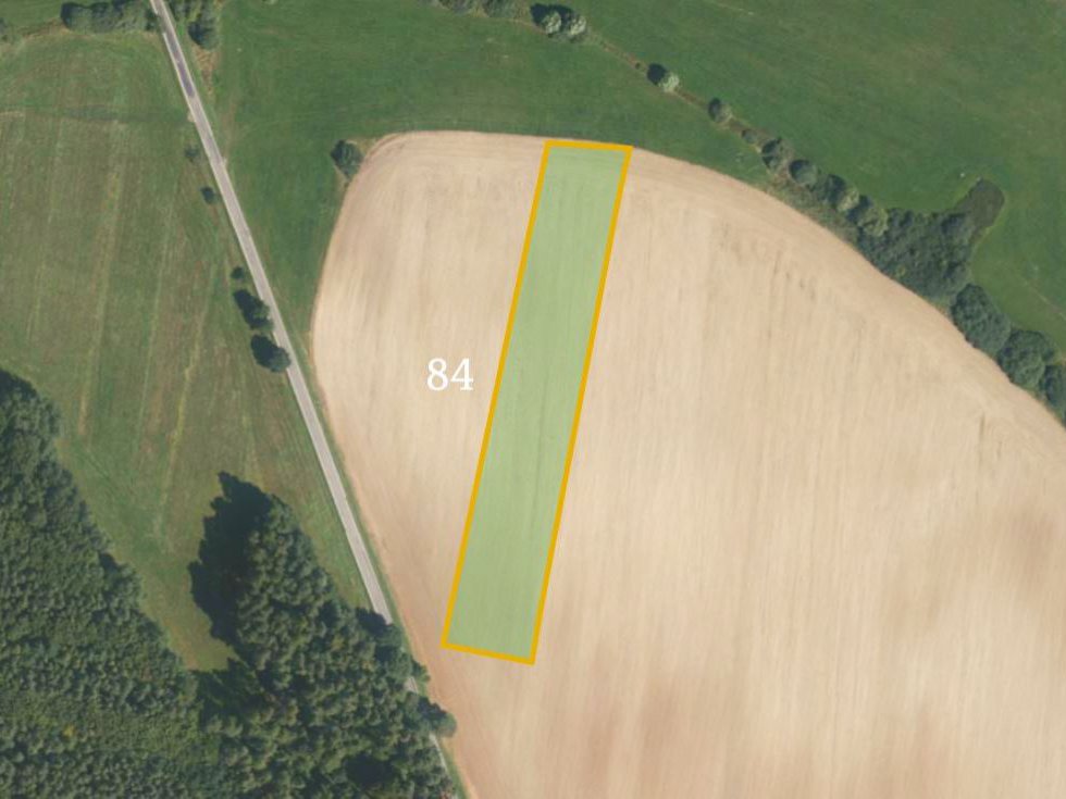 Prodej zemědělské půdy 12430 m², Kluky
