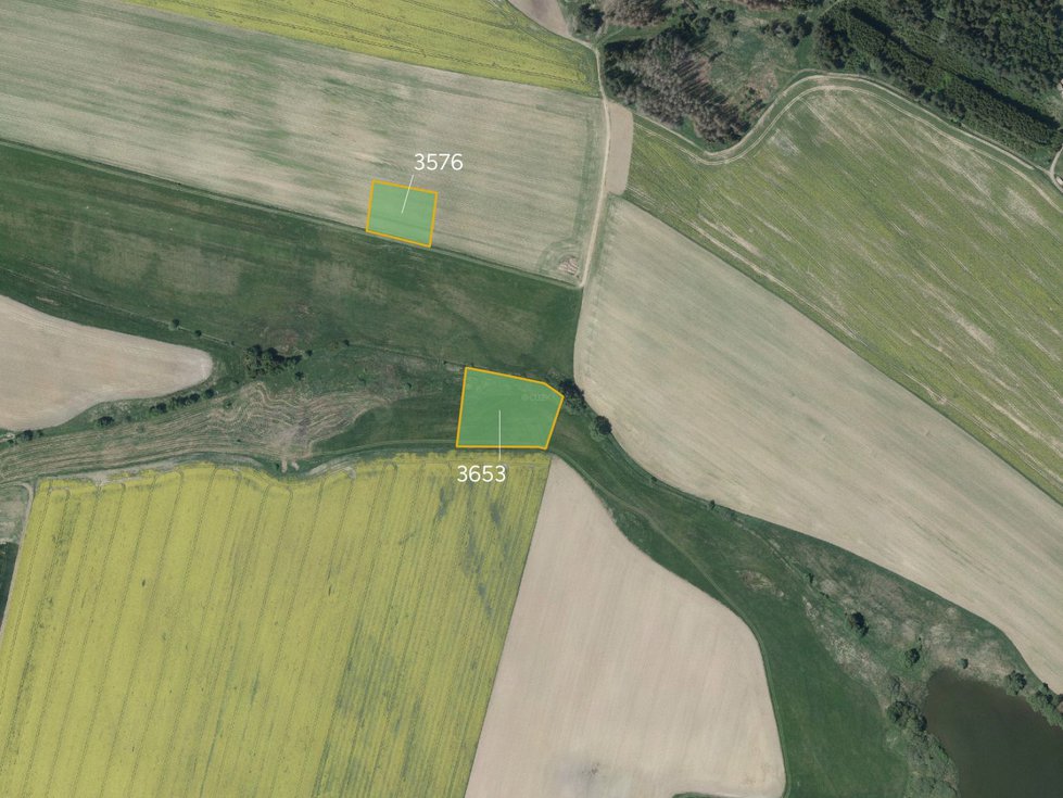 Prodej louky 12071 m², Pavlov
