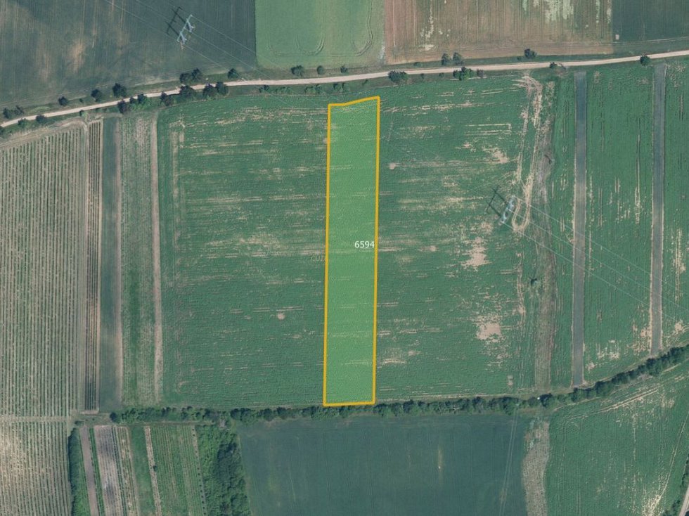 Prodej zemědělské půdy 7763 m², Milotice
