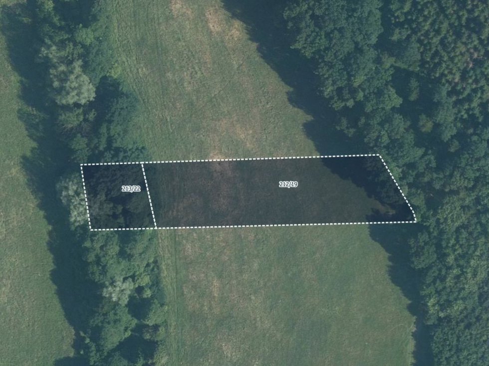 Prodej louky 13256 m², Podolí