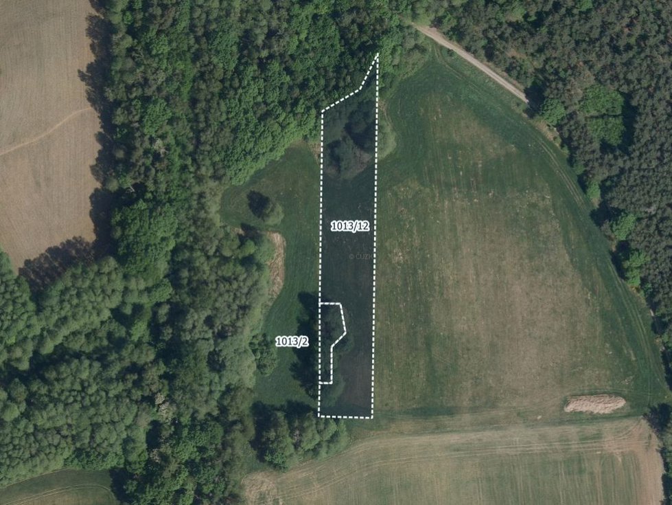 Prodej louky 4849 m², Lázně Bohdaneč