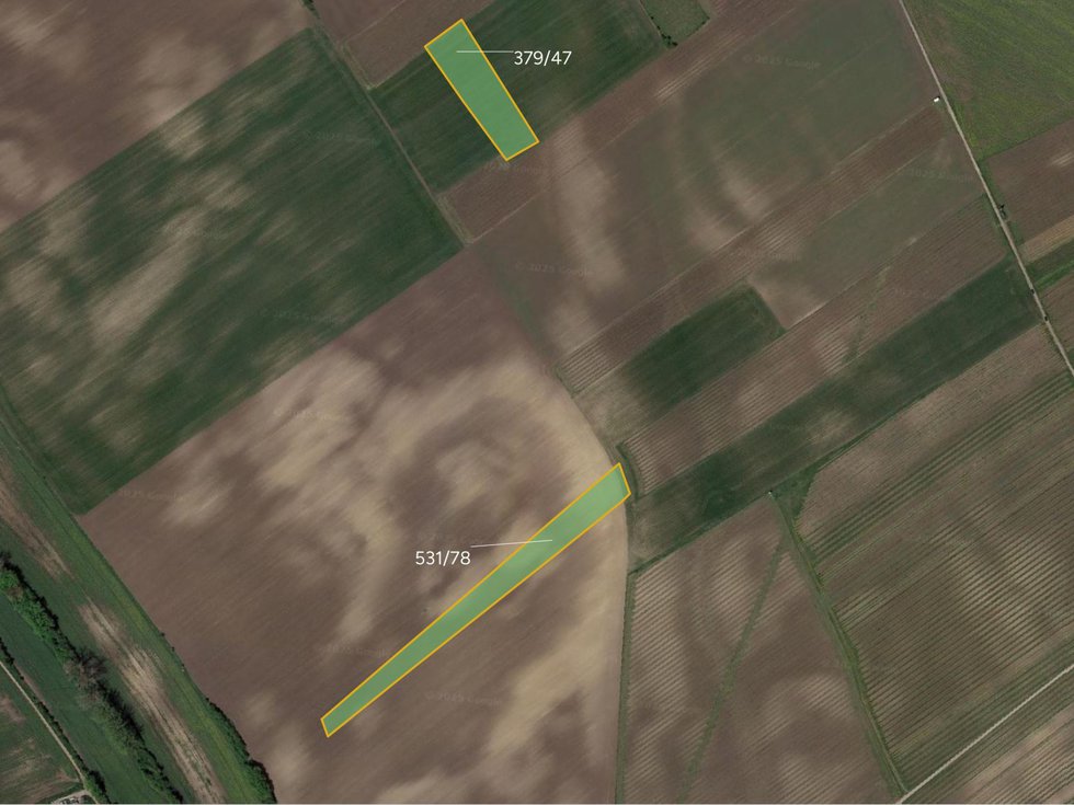 Prodej zemědělské půdy 16494 m², Nový Poddvorov