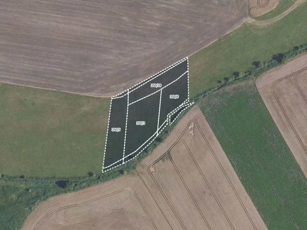 Prodej zemědělské půdy 14150 m², Kosořice
