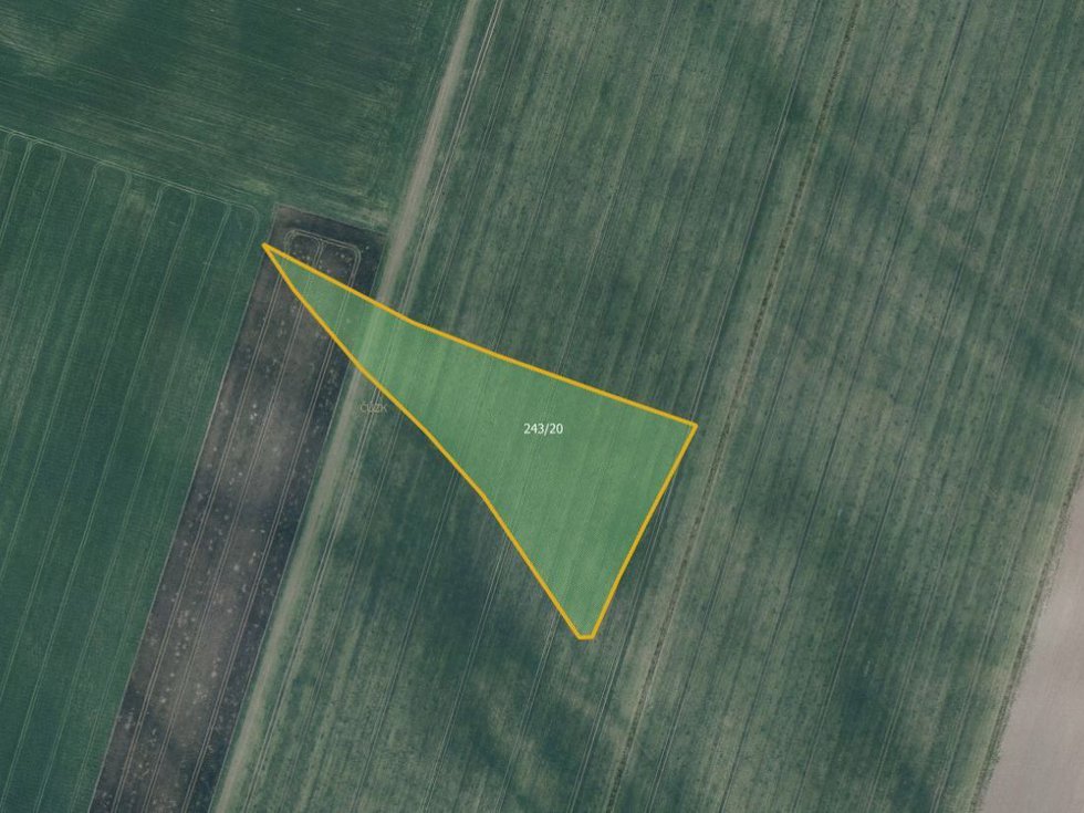 Prodej zemědělské půdy 13703 m², Račiněves